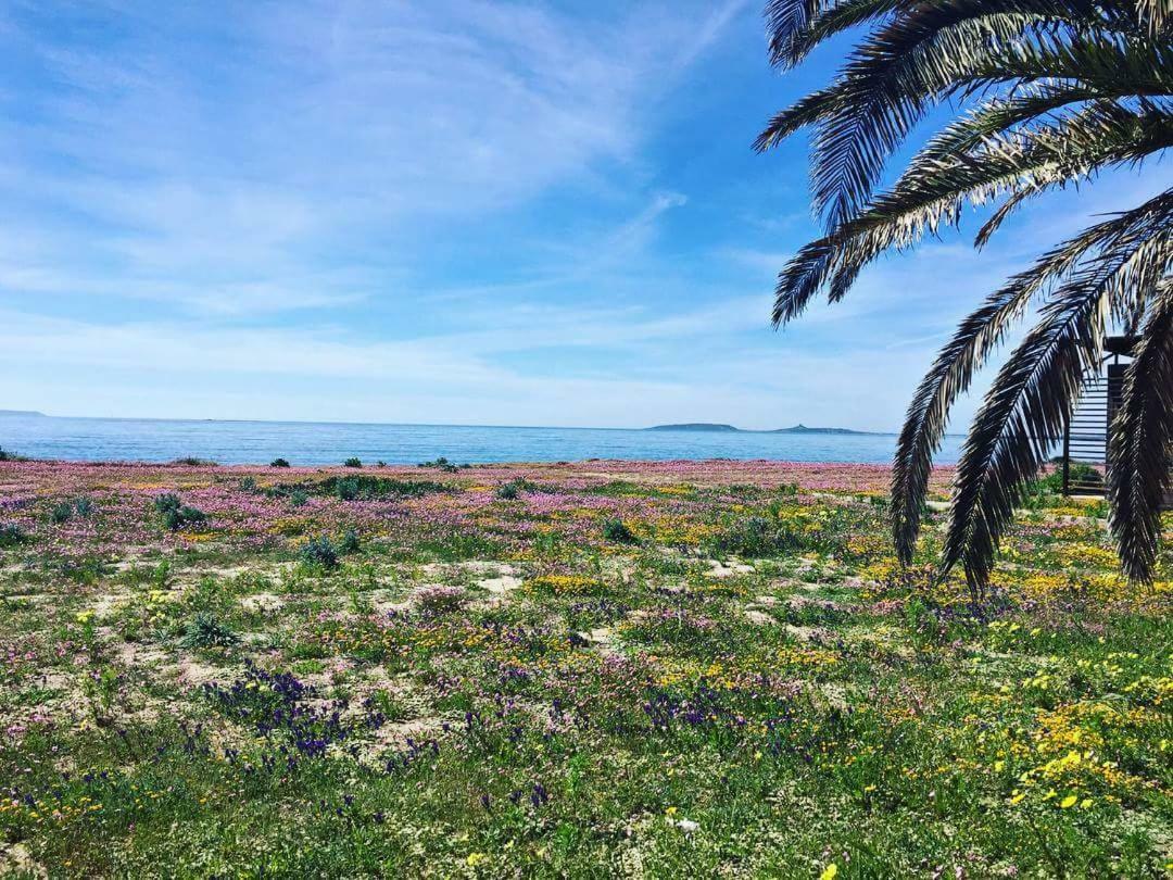 Affittacamere Al Mare 오리스타노 외부 사진